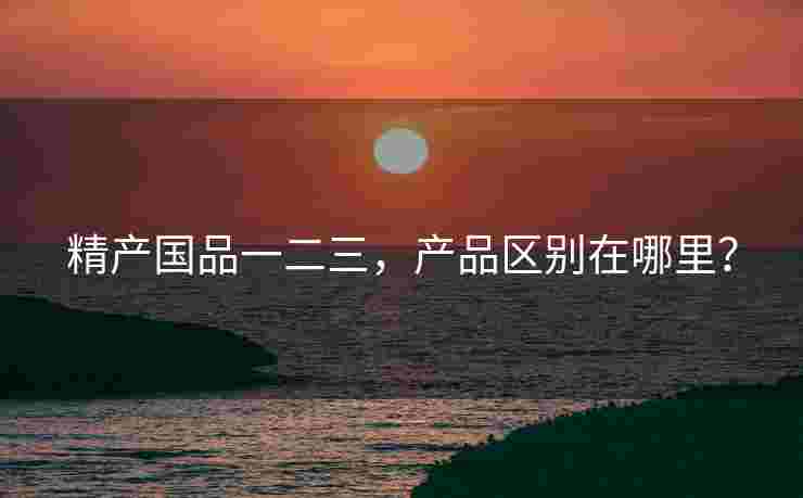 精产国品一二三，产品区别在哪里？