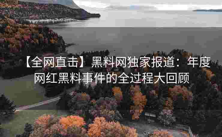 【全网直击】黑料网独家报道：年度网红黑料事件的全过程大回顾