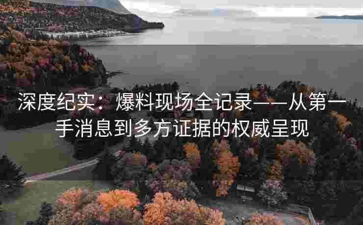 深度纪实：爆料现场全记录——从第一手消息到多方证据的权威呈现