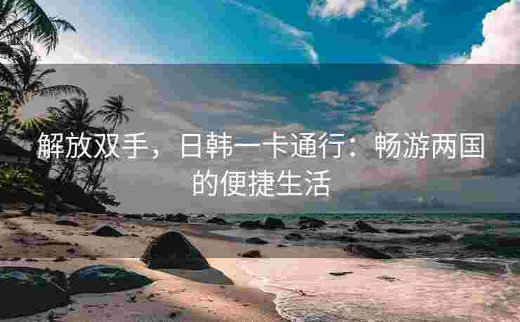 解放双手，日韩一卡通行：畅游两国的便捷生活