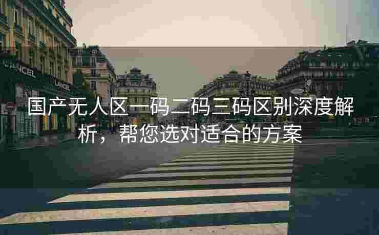 国产无人区一码二码三码区别深度解析，帮您选对适合的方案