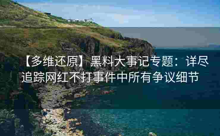 【多维还原】黑料大事记专题：详尽追踪网红不打事件中所有争议细节