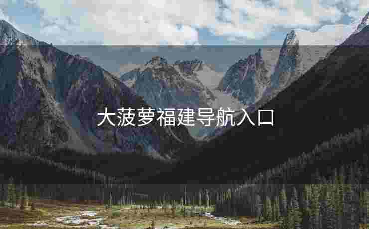 大菠萝福建导航入口