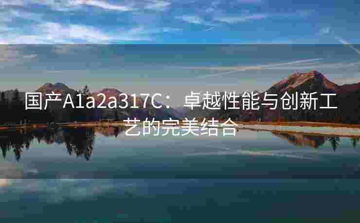 国产A1a2a317C：卓越性能与创新工艺的完美结合