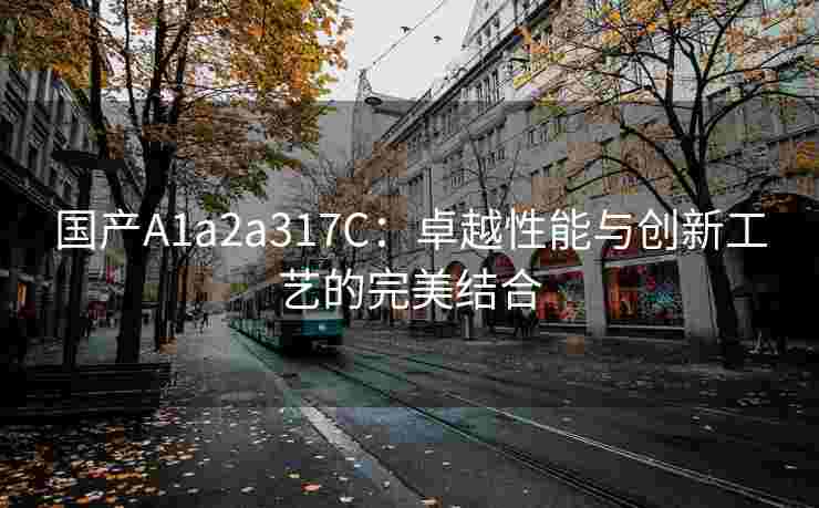 国产A1a2a317C：卓越性能与创新工艺的完美结合