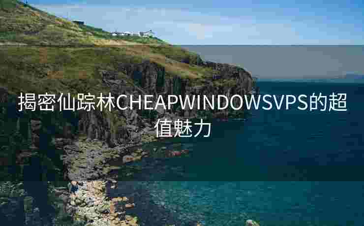 揭密仙踪林CHEAPWINDOWSVPS的超值魅力