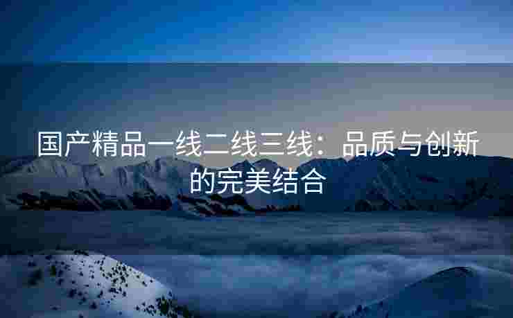 国产精品一线二线三线：品质与创新的完美结合
