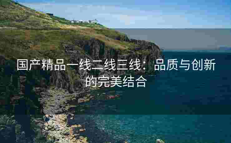 国产精品一线二线三线：品质与创新的完美结合