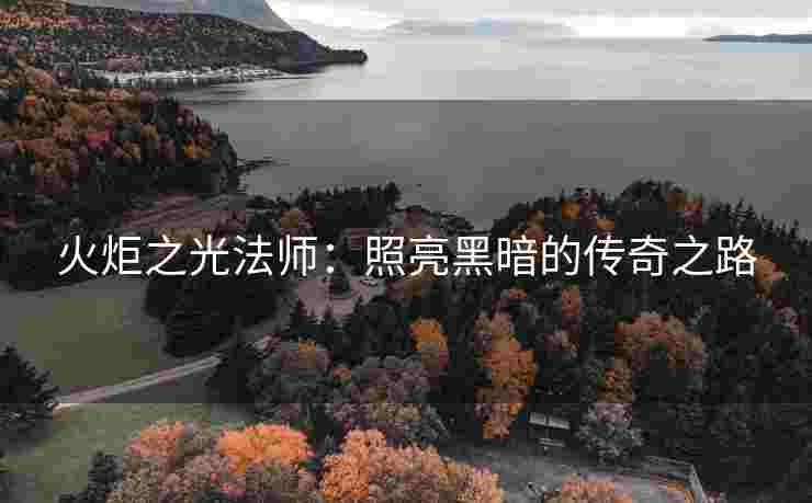 火炬之光法师：照亮黑暗的传奇之路