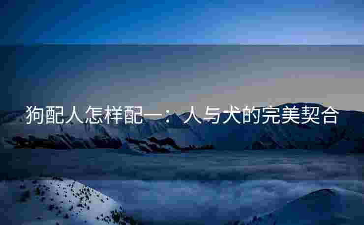 狗配人怎样配一：人与犬的完美契合