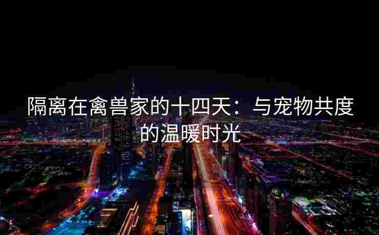 隔离在禽兽家的十四天：与宠物共度的温暖时光