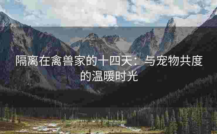 隔离在禽兽家的十四天：与宠物共度的温暖时光
