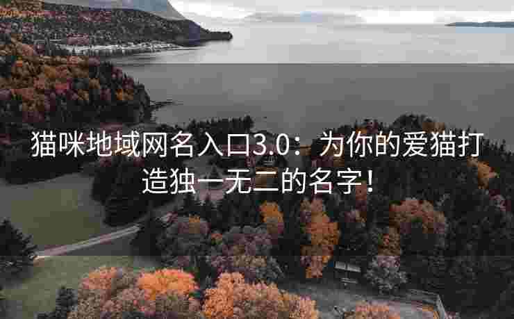 猫咪地域网名入口3.0：为你的爱猫打造独一无二的名字！